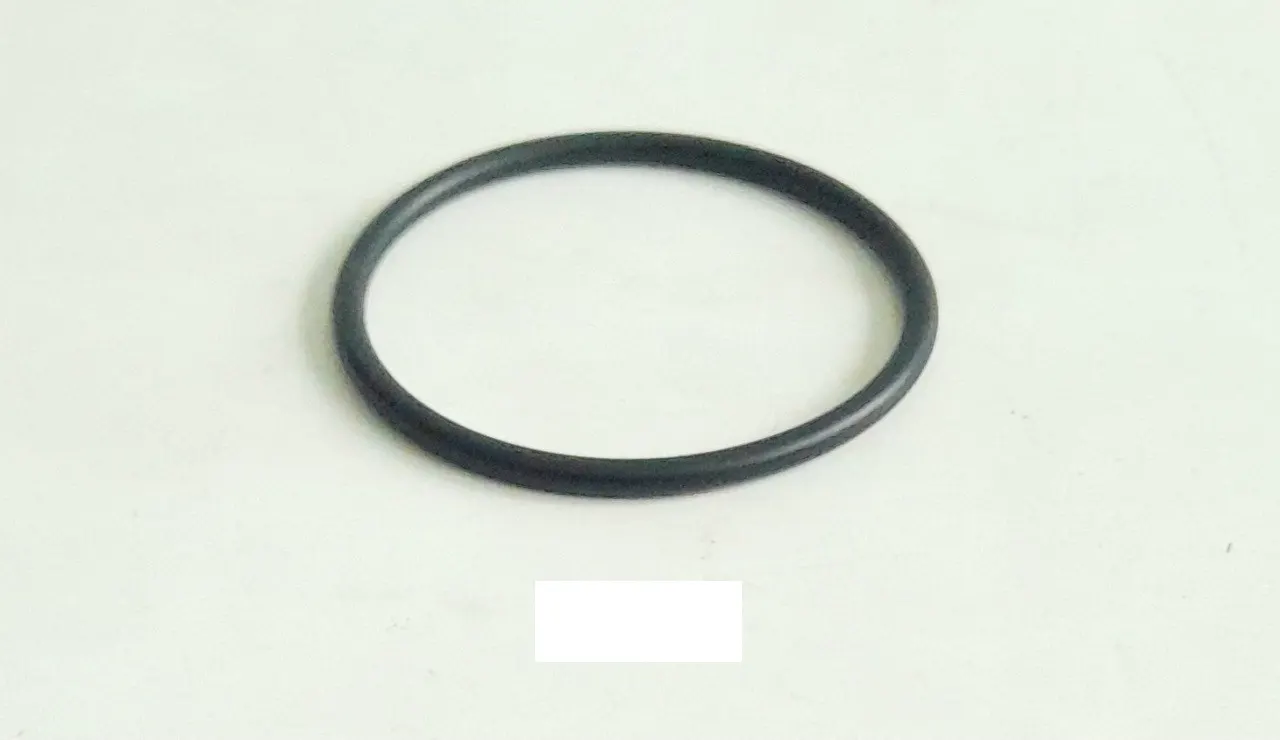 GAZ С41R92310403210 Кольцо уплотнительное зад. ступицы ГАЗель NEXT 060х2,0
