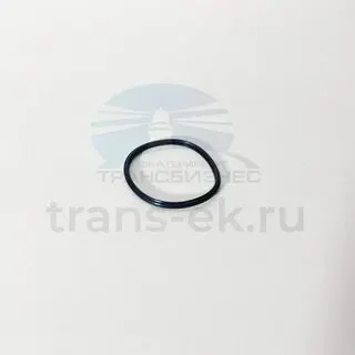 FOTON 3954829 Прокладка термостата дв. Cummins ISF 2.8/3.8 ( 5257077) "FOTON