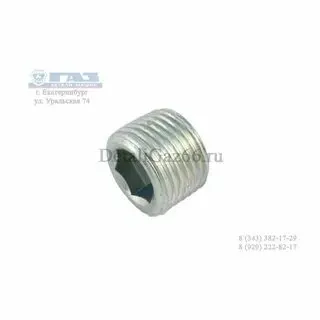 Пробка картера КПП заливная Г-3110, 3302, 3307, 33104, ПАЗ-Вектор