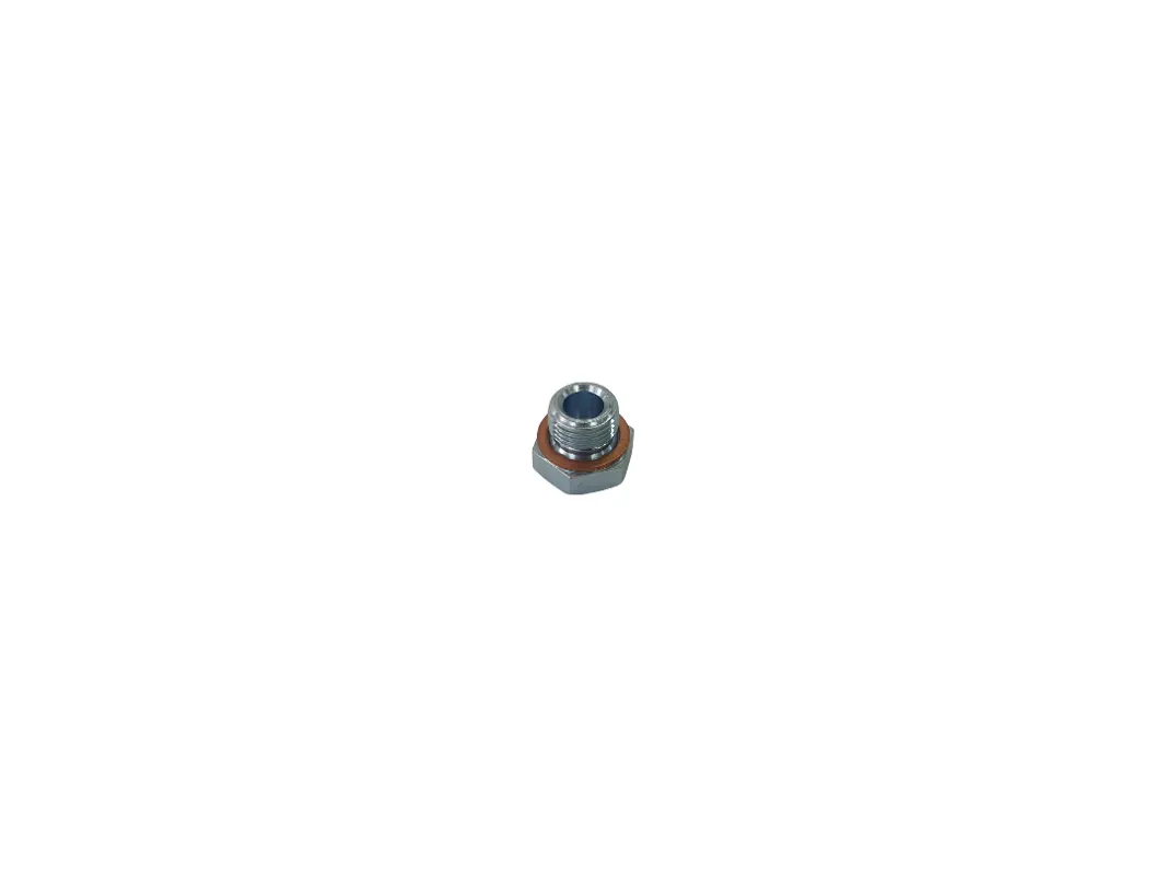 GAZ С40R13170109810 Пробка М18х1,5х12