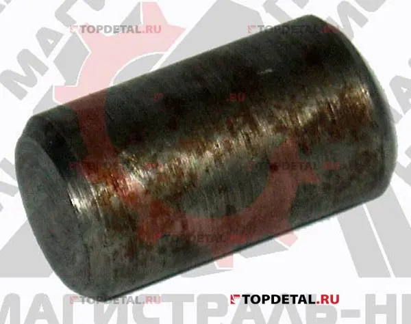Штифт крепления буфера задней рессоры ПАЗ 3205